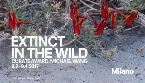 Michael Wang: Extinct in the Wild 